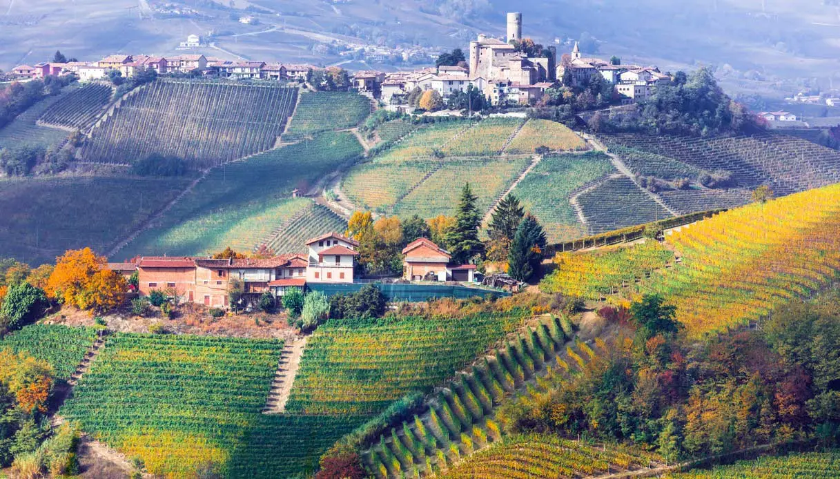 Barolo